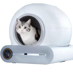 samočistilno stranišče